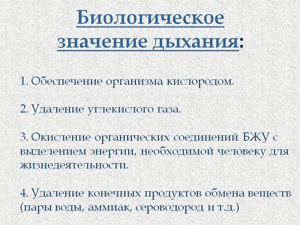Биологическое значение дыхания