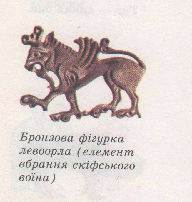 005005143.jpg