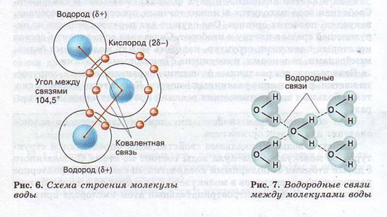 Молекулы воды