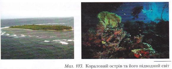 As130.jpg