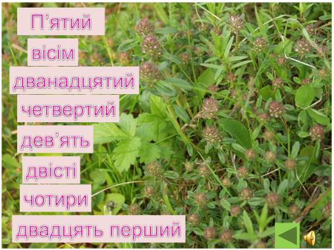 Укр. мова, 6 кл, тема 87, рис. 6.jpg
