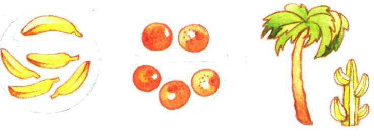 Склад числа 5