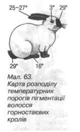 Температурні пороги пігментації волосся