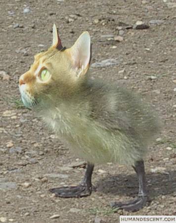 Файл:Img 15.08.12 04.jpg