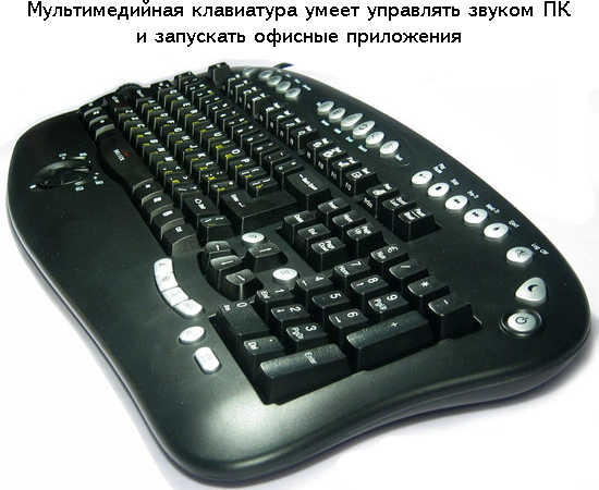 Eллmple.jpg
