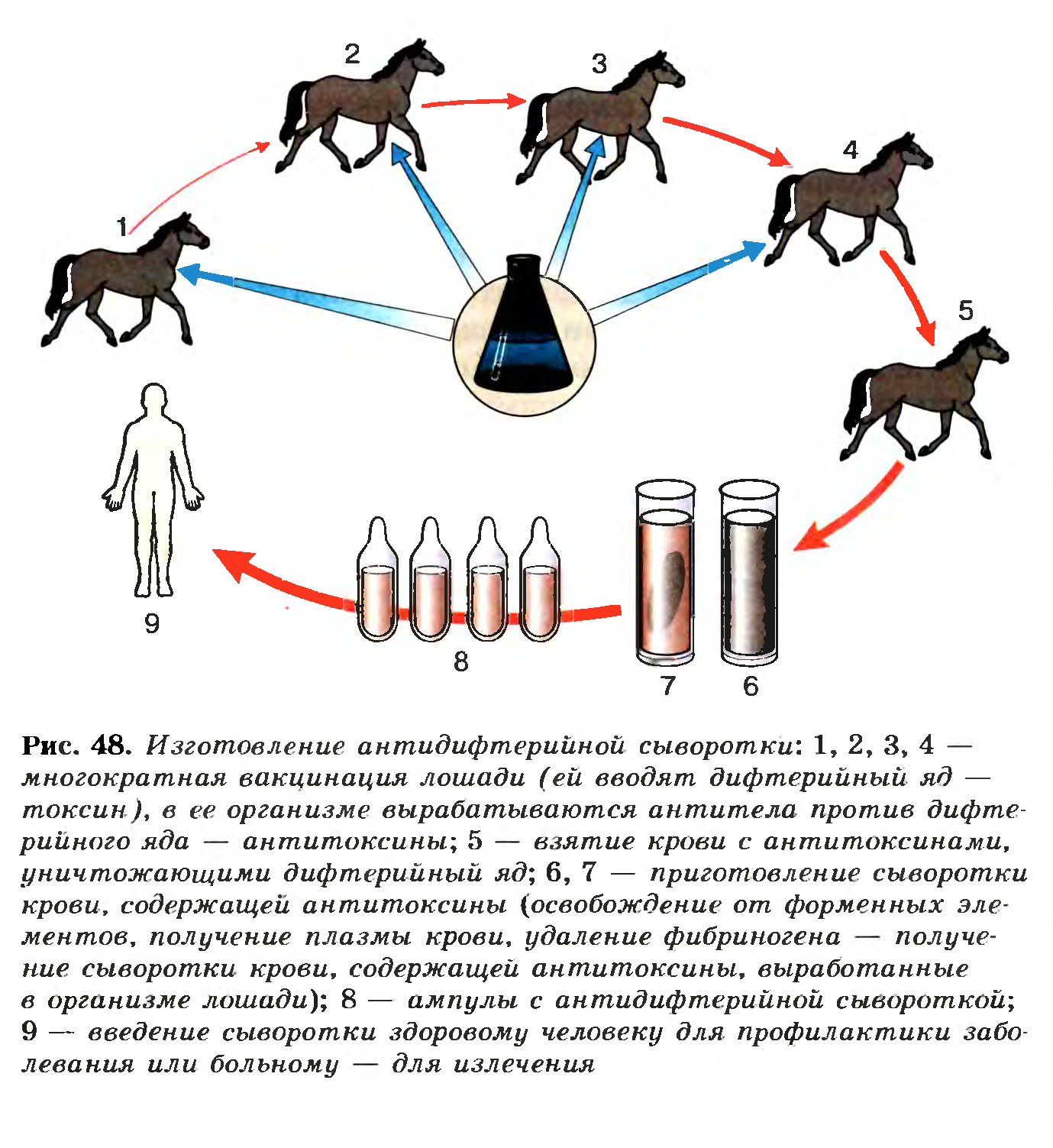 История изобретения вакцин