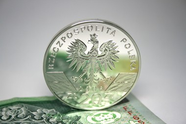 groshzi (5).jpg