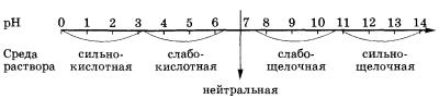 Ферменты