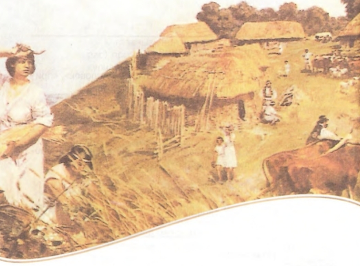 Исторические ступени развития общества
