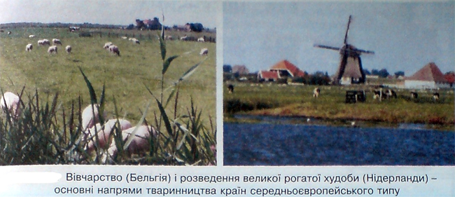 Географія13(3).jpeg