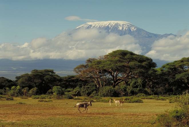 Капські гори