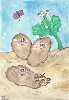 Potato-ukrlit4kl.jpg