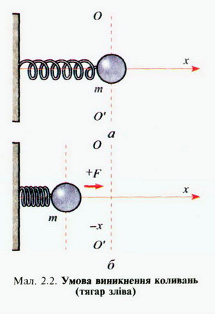 2004221.jpg