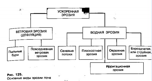 Эрозия почв