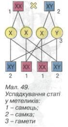 13.1..JPG