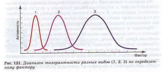 Лимитирующие факторы.
