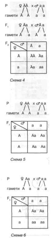 Схеми