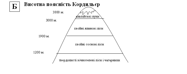 7-45-4.jpg