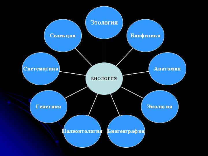 Биологические науки. фото