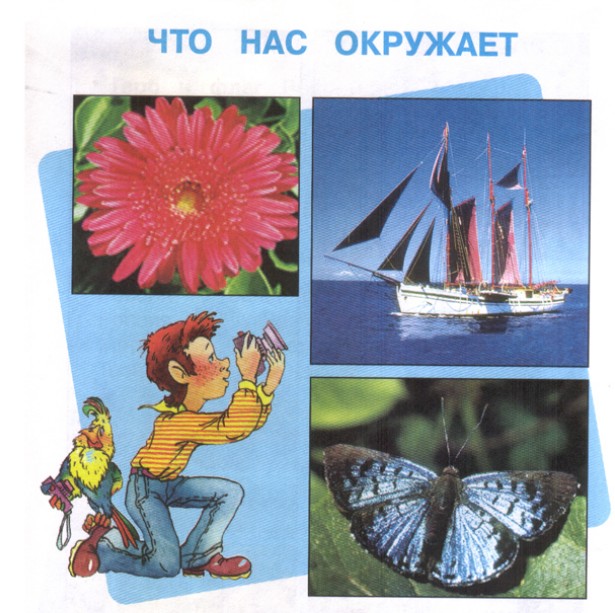 Что нас окружает