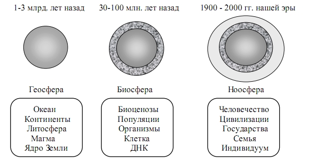 Пространственный аспект иерархии структурных уровней