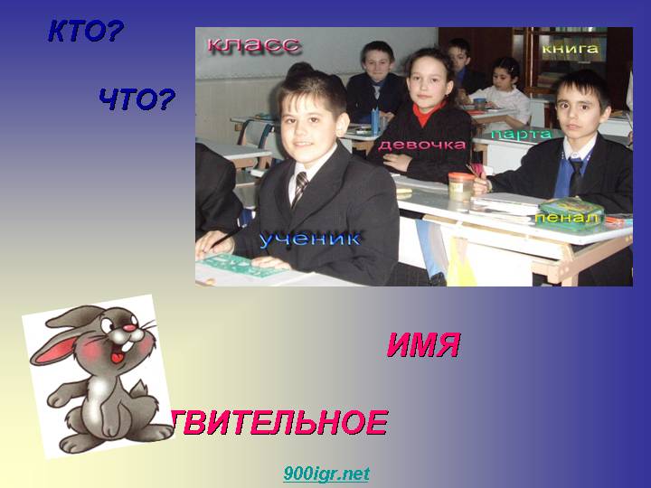 Сущ 1.jpg