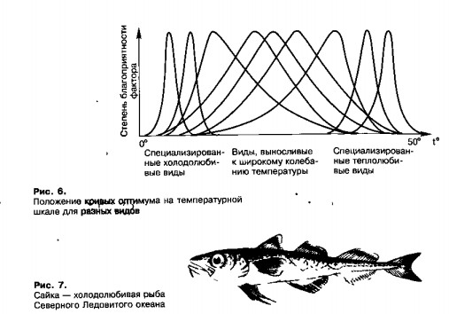 Общие законы зависимости организмов от факторов среды