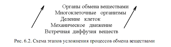 обмен веществ