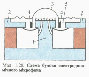 10025.jpg