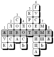 30-03-035.jpg