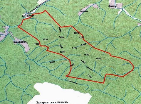 Gorgany090805-1.jpg