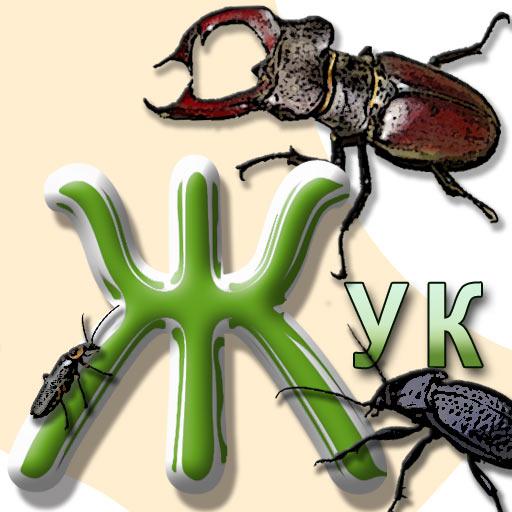 Bukva-j.jpg