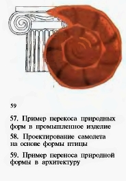 57. Пример переноса природных форм в промышленное изделие. 58. Проектирование самолета на основе формы птицы. 59 Пример переноса природной формы в архитектуру