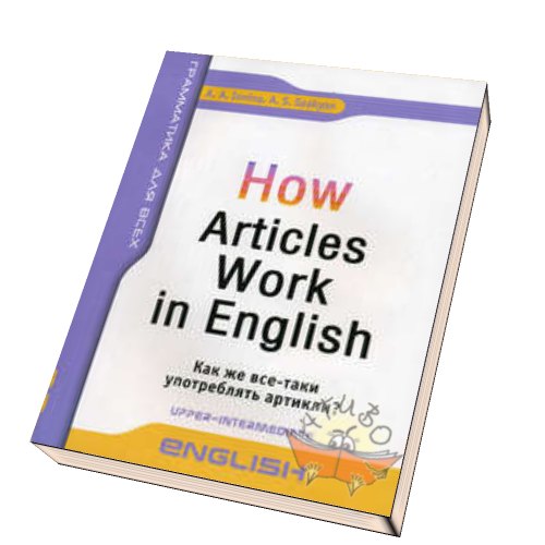 Articles book