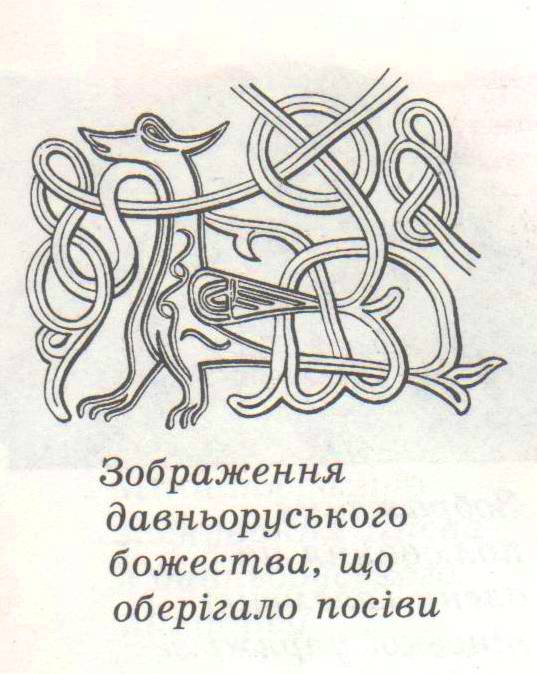 005005142.jpg
