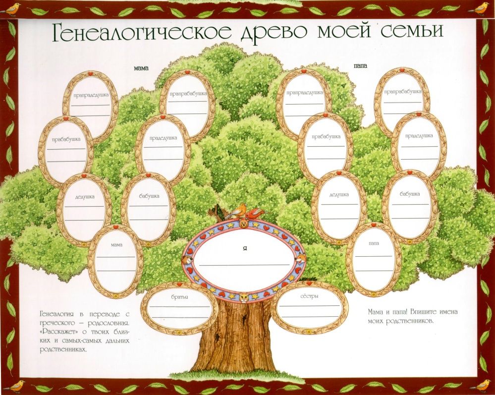 Ethnograph
