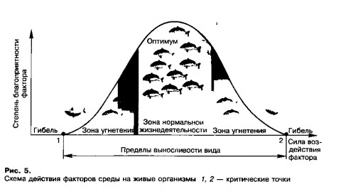 Общие законы зависимости организмов от факторов среды
