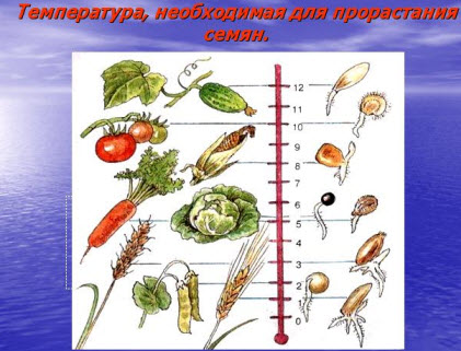 Залежність від температури