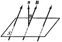FizI7-13.jpg