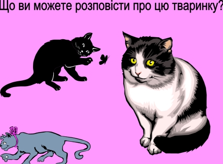 16 26 05 12.jpg