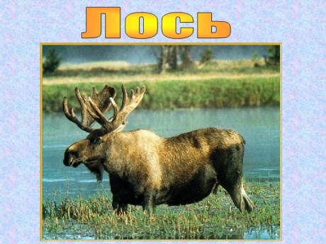 8 6 03.jpg