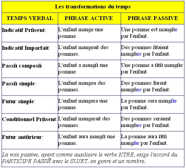 4 fr 7.jpg