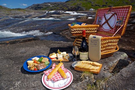 Picnic-angl9.jpg
