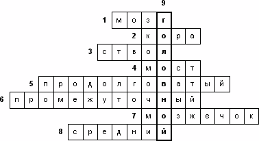 Bior8 45 1.gif