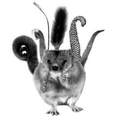 Файл:Img 15.08.12 01.jpg