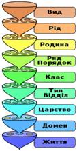Класифікація тварин