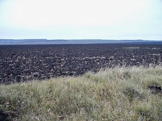 Ekon6-114.jpg