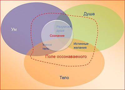 формирование сознания. фото