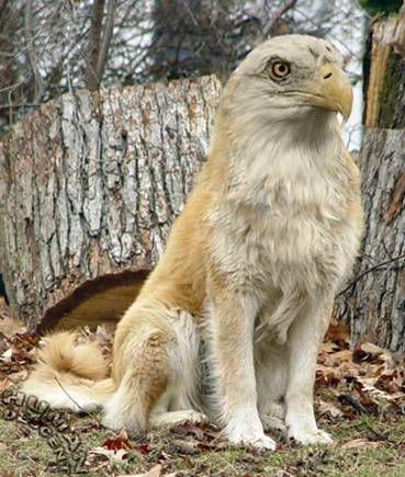 Файл:Img 15.08.12 03.jpg