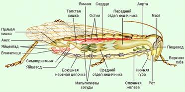 Bio8 24 6.jpg